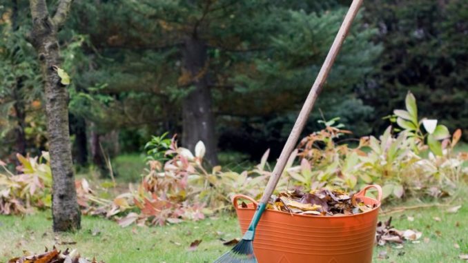 Herbstpflege: Die richtige Vorbereitung für einen schönen Frühlingsgarten