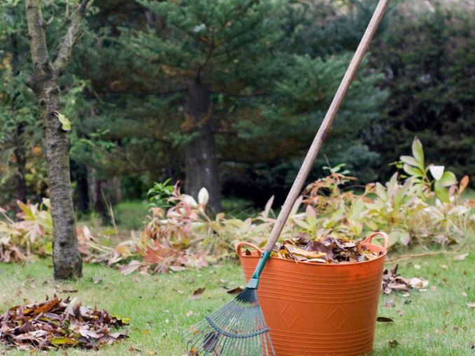 Herbstpflege: Die richtige Vorbereitung für einen schönen Frühlingsgarten