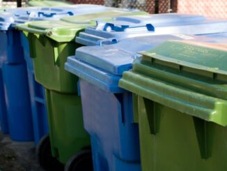 Mülltrennung zuhause - was ist zu beachten und was gehört in welche Tonne