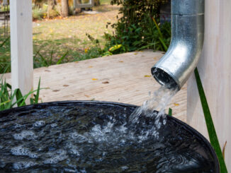 Ratgeber Regenwasser für die Gartenbewässerung auffangen - gut zu wissen