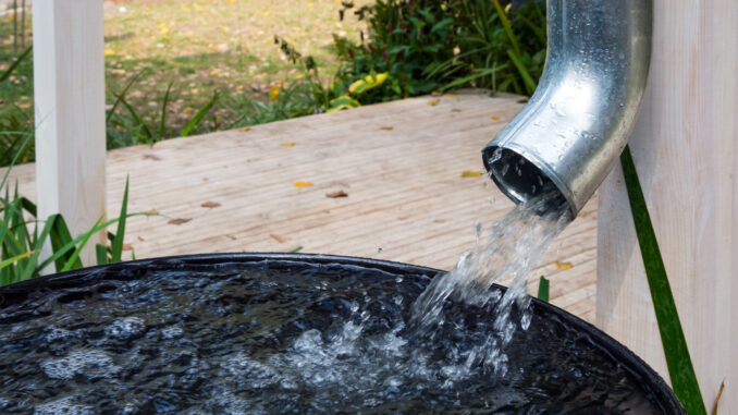 Ratgeber Regenwasser für die Gartenbewässerung auffangen - gut zu wissen