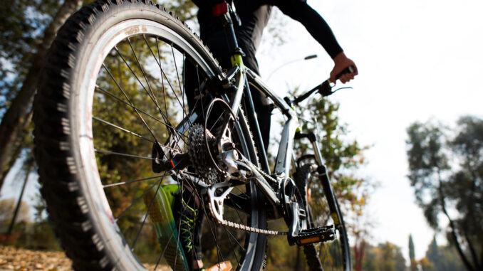 Von der Planung bis zur Fertigstellung: Alles, was Sie über Fahrradgaragen wissen müssen