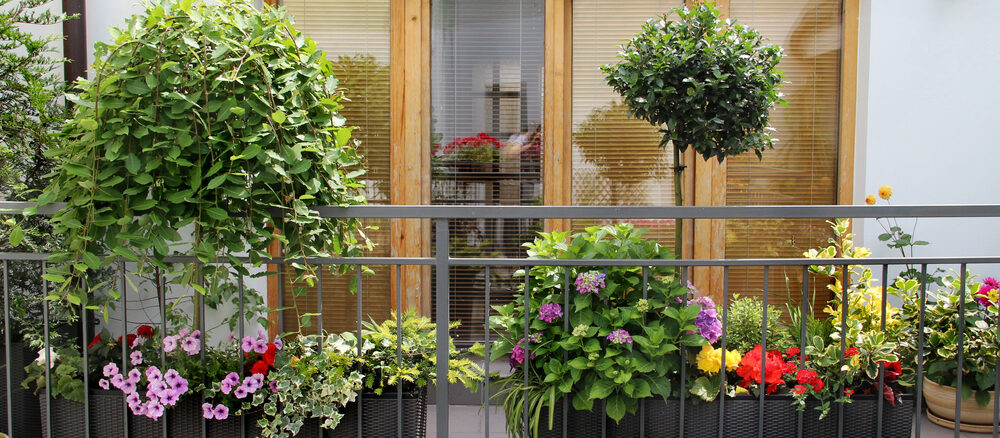 Kleine Flächen groß nutzen: Vertikale und mobile Gartenlösungen – Potenziale, Herausforderungen und fachkundige Einschätzungen